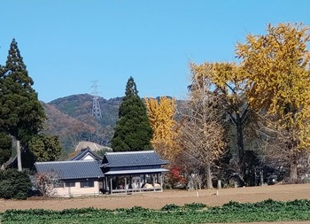 s-吉野の神社.jpg