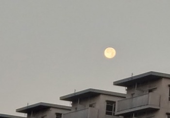 s-朝の月.jpg