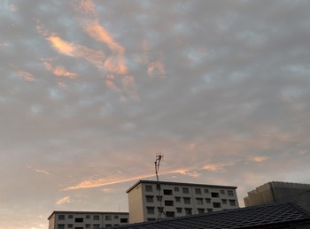 s-朝焼け南の空.jpg