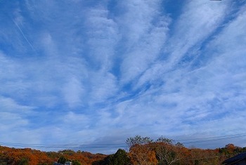 s-紅葉と雲.jpg